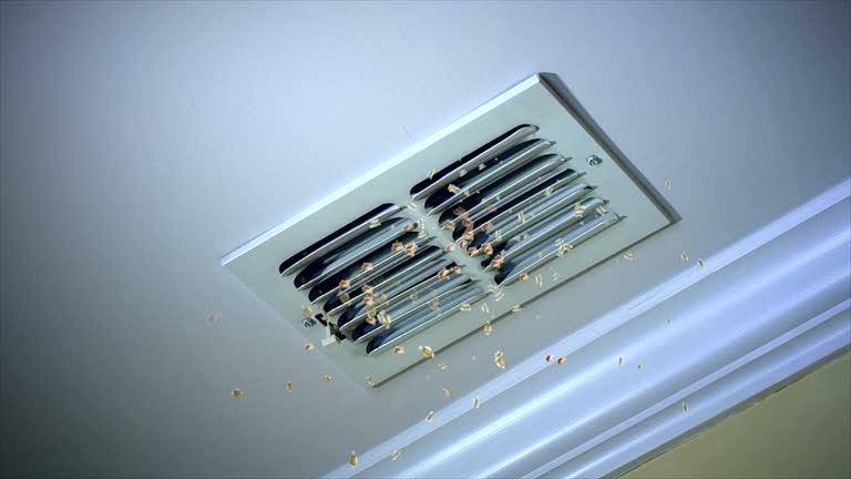 Best Best Air Duct Cleaning Company  in Ferndale, CA